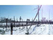 IMG 20180317 124917.jpg