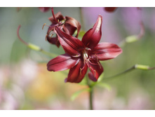 2016 ��� (14).JPG