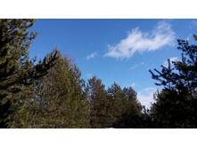 IMG 20180324 132007.jpg