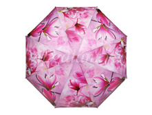 ���� ������� PL-41 Planet 3 �� ������� ������.jpg