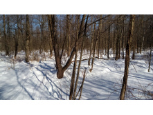 IMG 20180310 123659.jpg