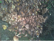 2014-09-20 13.04.54.jpg