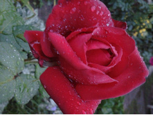 2014-08-17 20.48.29.jpg