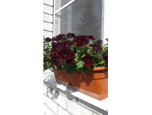 2017 ��� (108).jpg