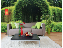 ������� �������� �������.jpg