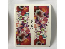 �������-������ 1 �� 13 ���