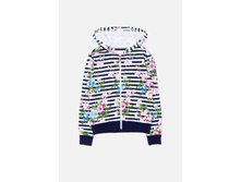 20210130132   Grus   �������(���) preview.jpeg