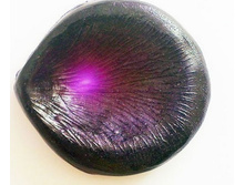 �������� ���� �.jpg