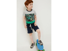 20120420031   Swift   �����-����� preview.jpeg