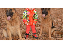 ���� ������