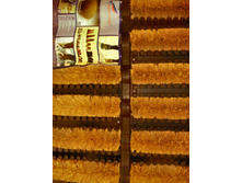 ��������� ����