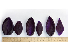 ����� ������� ������ ��� ��������� �����.jpg