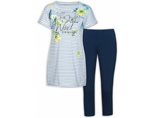 PFAML6731 �������� ������� (1 �� � ���.)