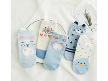 12,0 - ����� 5 ���