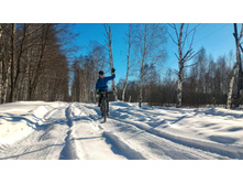 P 20180308 142651-01.jpeg