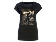 DFT6622 �������� ������� (1 �� � ���.)