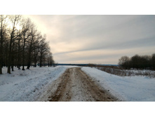 P 20180303 090032-01.jpeg