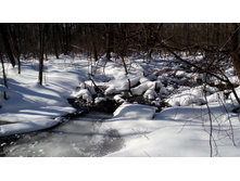 IMG 20180310 122218.jpg