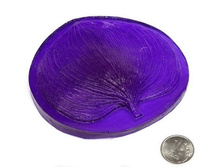 ���� ����������.jpg