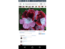 Screenshot 20171025-125422.png