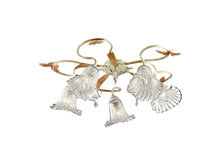 2895-5C 8000�.jpeg