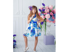 ���. ����