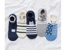 12,0 - ����� 5 ���