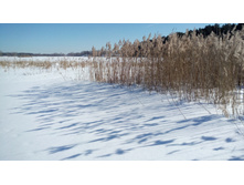 IMG 20180310 113511.jpg