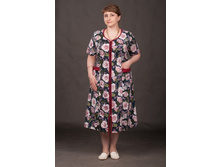 2/13-2240�  ����� ���. �� ������