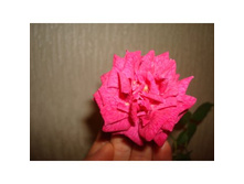 ���� ��������� ������� (���������)