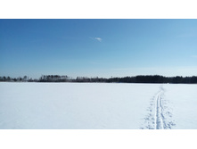 IMG 20180317 134252.jpg