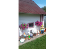 2017 ��� (16).jpg