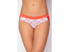 DSL0761 CORAL ����� ���������� �������.jpg