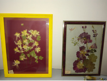 IMG 20171124 191457.jpg