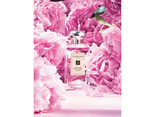 PEONY & BLUSH SUEDE  Jo Malone ��� 100 �� 9300+%+����