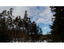 IMG 20180324 130614.jpg