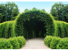 WS0437:360:254 ������� �������� - 950�.jpg