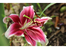 ����� �������� � ����� ������ (�ϣ ����)