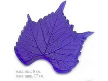 ���� ��������� �.jpeg