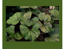 ��������� ������ ������ -