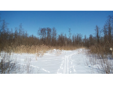 IMG 20180310 114904.jpg