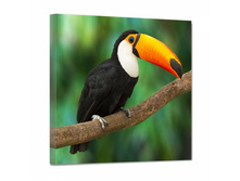 1057 ����� - 150�