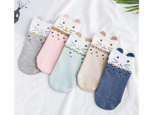 12,0 - ����� 5 ���