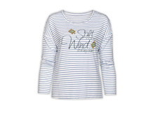 DFJ6731 ������� ������� (1 �� � ���.)