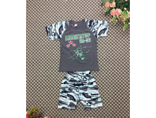 290� ������:104,110,116 ����