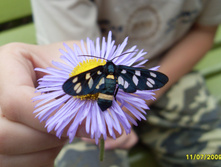 SDC16550.JPG