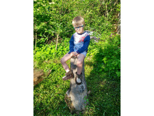 IMG 20170612 173919 HDR.jpg