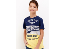 20110110094   Ozil   ������� preview.jpeg