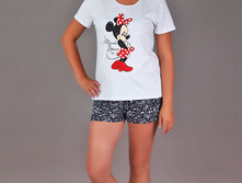 ������ ���� (����) (���.4-131), 290 ���.