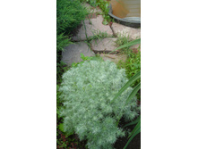 2012 ��� (28).JPG